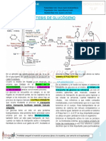 09-B-04!06!19 Sintesis Del Glucogeno