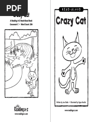 Crazy Cat