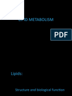 Metabolisme Lemak 