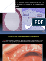 Histological Features