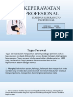 Keperawatan Profesional