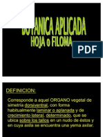 Hoja o Filoma