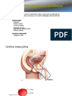 PDF Uretrocistografia Retrograda e Esforopdf Compress