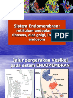 Sistem Endomembran Retikulum Endoplasma-64905232