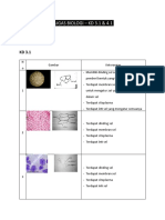 Tugas Biologi - Sel