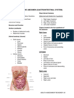 Assessment of The Abdomen (Gastrointestinal System) : Deep Internal Anatomy