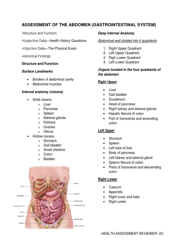 Assessment of The Abdomen (Gastrointestinal System) : Deep Internal ...