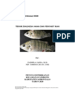 Teknik Diagnosa Penyakit Ikan Mei