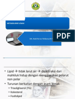 Lipid & Metabolisme Lipid