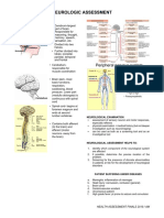 Neurologic Assessment