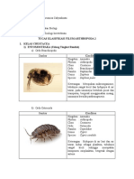 Tiket Klasifikasi Filum Arthropoda 2 - Kelompok 3 Zoin - 2a Pendidikan Biologi