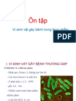 On Tap VSV Gay Benh TP