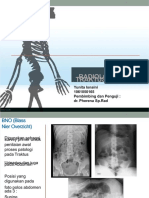 PDF Gambaran Radiologi Traktus Urinarius DR Pherena Amalia Sprad DL
