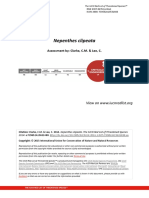 Nepenthes Clipeata: Assessment By: Clarke, C.M. & Lee, C