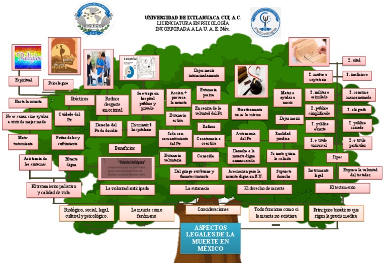 Mapa-Aspectos Legales de La Muerte en México | PDF | Etica Aplicada ...