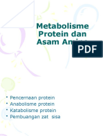 PERTEMUAN 9 11 November 2020 Metabolisme Protein