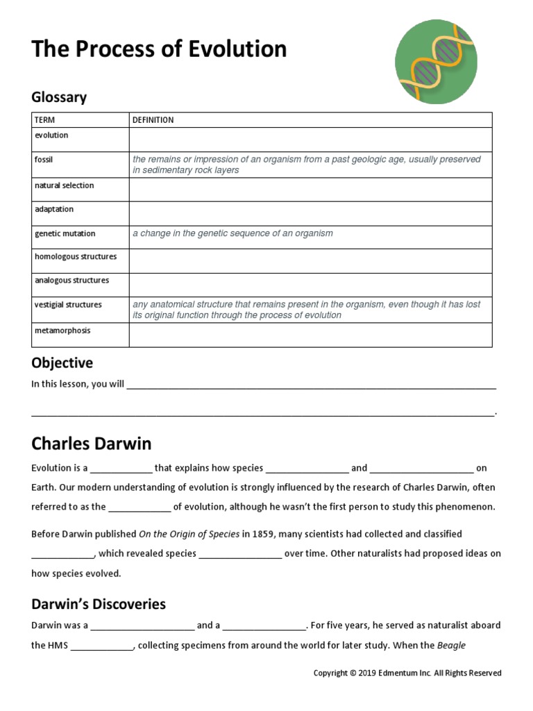 Guided Notes - The Process of Evolution | PDF | Evolution | Genetics