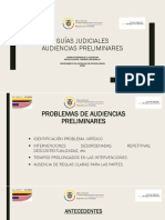 Guía Judicial Audiencias de Control de Garantías