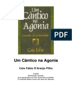 Um Cântico na Agonia - Caio Fábio