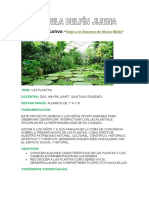 Proyecto DE PLANTAS PRIMER GRADO