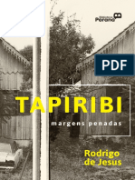 2_tapiribi