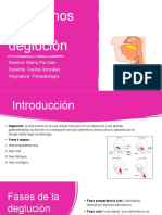 Disfagia: causas, tipos y tratamiento de los trastornos de la deglución