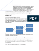 Deshidratación Aguda