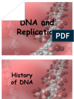 DNA replication1