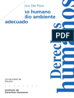 Cuadernos Deusto DeDerechos Humanos, Núm. 8 Medio Ambiente Adecuado1