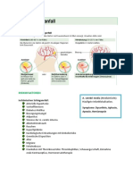 Apoplex Thema