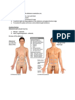 Anatomy Review: Abdominal Wall Extends From The