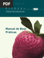 boas praticas morango[1]