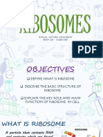 CMB PPT 6 - RIBOSOMES-BORJA, JAYVEN C