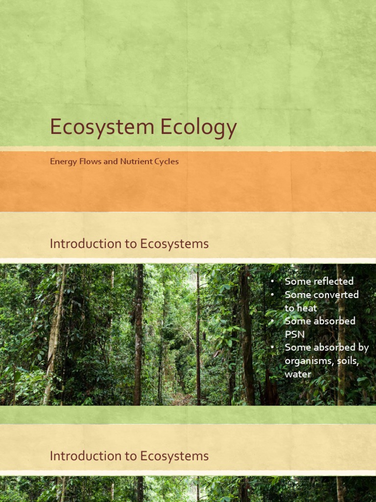 Ecosystem INTRODUCTION Basic | PDF | Primary Production | Food Web