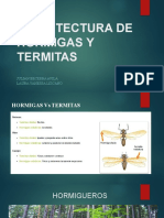Exposicion Entomologia - Arquitectura de Hormigas y Termitas