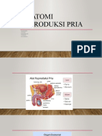 Anatomi Reproduksi