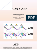 El ADN Y ARN