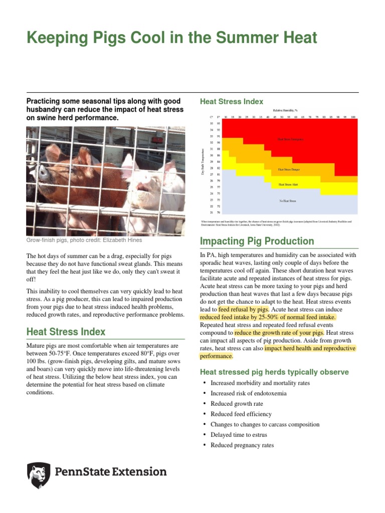 How Often Do Pigs Go Into Heat Surprising Answer - lqyph5t