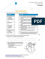 2 Circulation and Respiration: Worksheet