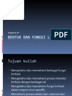 Bentuk Dan Fungsi Limfosit2009