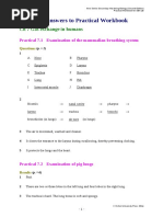 Suggested Answers To Practical Workbook: CH 7 Gas Exchange in Humans