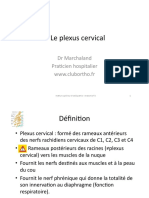 Plexus cervical