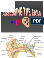 Assessing The Ears