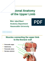 Regional Anatomy of The Upper Limb: Muh. Iqbal Basri Anatomy Department Hasanuddin University