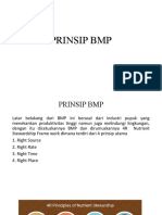 Prinsip BMP