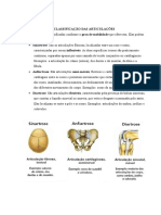 Trabalho Classificação Das Articulações