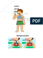 11 Marzo Sist. Respiratorio 2°B