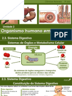 CN9 - Sistema - Digestivo - JC MORAIS