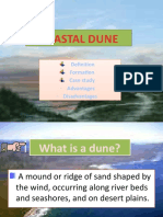 Coastal Dune: Formation Case Study