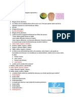 Evaluación de 4to y 5to Grado